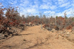 property photo for Indian Ridge Phase I Tract 5, 15.65 acres for sale in Pittsburg County, Oklahoma