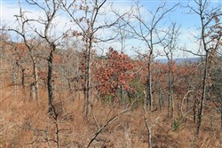 property photo for Indian Ridge Phase I Tract 5, 15.65 acres for sale in Pittsburg County, Oklahoma