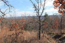 property photo for Indian Ridge Phase I Tract 5, 15.65 acres for sale in Pittsburg County, Oklahoma