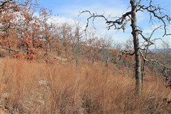 property photo for Indian Ridge Phase I Tract 5, 15.65 acres for sale in Pittsburg County, Oklahoma