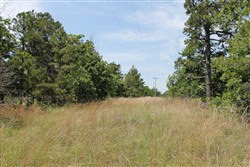 property photo for Indian Ridge Phase II Tract 30, 11.95 acres for sale in Pittsburg County, Oklahoma