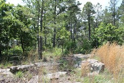 property photo for Indian Ridge Phase II Tract 30, 11.95 acres for sale in Pittsburg County, Oklahoma