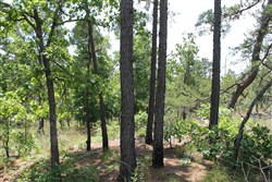 property photo for Indian Ridge Phase II Tract 30, 11.95 acres for sale in Pittsburg County, Oklahoma