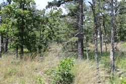 property photo for Indian Ridge Phase II Tract 30, 11.95 acres for sale in Pittsburg County, Oklahoma