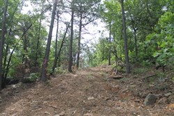 property photo for Indian Ridge Phase II Tract 40, 9.84 acres for sale in Pittsburg County, Oklahoma