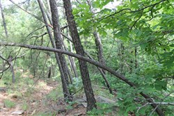 property photo for Indian Ridge Phase II Tract 40, 9.84 acres for sale in Pittsburg County, Oklahoma
