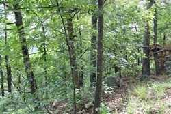 property photo for Indian Ridge Phase II Tract 40, 9.84 acres for sale in Pittsburg County, Oklahoma