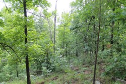 property photo for Indian Ridge Phase II Tract 40, 9.84 acres for sale in Pittsburg County, Oklahoma