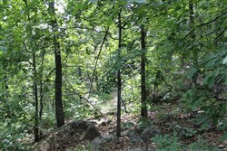 property photo for Indian Ridge Phase II Tract 40, 9.84 acres for sale in Pittsburg County, Oklahoma
