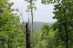 property photo for Indian Ridge Phase II Tract 40, 9.84 acres for sale in Pittsburg County, Oklahoma