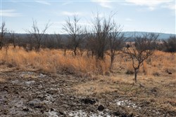 property photo for Painted Horse Tract 30, 8.21 acres for sale in Pittsburg County, Oklahoma