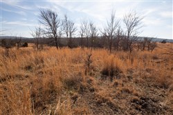 property photo for Painted Horse Tract 30, 8.21 acres for sale in Pittsburg County, Oklahoma