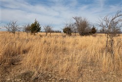 property photo for Painted Horse Tract 30, 8.21 acres for sale in Pittsburg County, Oklahoma