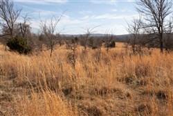 property photo for Painted Horse Tract 30, 8.21 acres for sale in Pittsburg County, Oklahoma