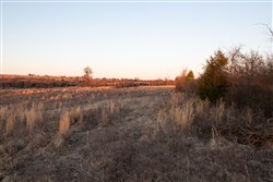 property photo for Painted Horse Tract 5, 6.31 acres for sale in Pittsburg County, Oklahoma