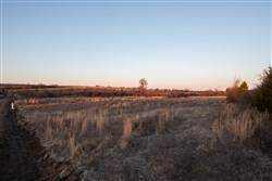 property photo for Painted Horse Tract 5, 6.31 acres for sale in Pittsburg County, Oklahoma