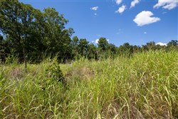 property photo for Paradise Valley Tract 20, 4.04 acres for sale in Pittsburg County, Oklahoma