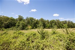 property photo for Paradise Valley Tract 22, 4.04 acres for sale in Pittsburg County, Oklahoma