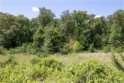property photo for Paradise Valley Tract 22, 4.04 acres for sale in Pittsburg County, Oklahoma