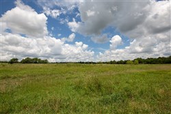 property photo for Paradise Valley Tract 4, 6.86 acres for sale in Pittsburg County, Oklahoma