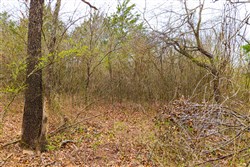 property photo for Reserves At Cattail Cove Phase I Tract 2, 5.78 acres for sale in Pittsburg County, Oklahoma