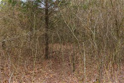 property photo for Reserves At Cattail Cove Phase I Tract 2, 5.78 acres for sale in Pittsburg County, Oklahoma