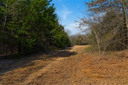 property photo for Reserves At Cattail Cove Phase I Tract 24, 2.91 acres for sale in Pittsburg County, Oklahoma