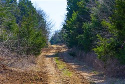 property photo for Reserves At Cattail Cove Phase I Tract 25, 2.48 acres for sale in Pittsburg County, Oklahoma