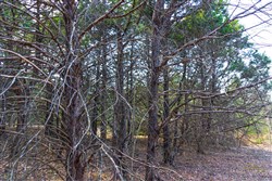 property photo for Reserves At Cattail Cove Phase I Tract 25, 2.48 acres for sale in Pittsburg County, Oklahoma