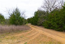 property photo for Reserves At Cattail Cove Phase I Tract 26, 5.92 acres for sale in Pittsburg County, Oklahoma