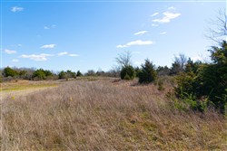 property photo for Reserves At Cattail Cove Phase I Tract 27, 3.1 acres for sale in Pittsburg County, Oklahoma