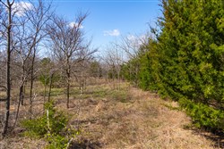 property photo for Reserves At Cattail Cove Phase I Tract 28, 2.94 acres for sale in Pittsburg County, Oklahoma