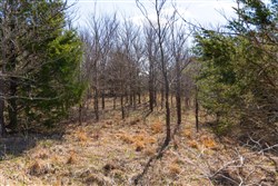 property photo for Reserves At Cattail Cove Phase I Tract 28, 2.94 acres for sale in Pittsburg County, Oklahoma