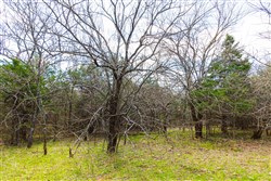 property photo for Reserves At Cattail Cove Phase I Tract 34, 2.81 acres for sale in Pittsburg County, Oklahoma