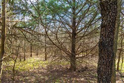 property photo for Reserves At Cattail Cove Phase I Tract 34, 2.81 acres for sale in Pittsburg County, Oklahoma