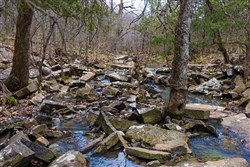 property photo for Reserves At Cattail Cove Phase I Tract 4, 5.39 acres for sale in Pittsburg County, Oklahoma