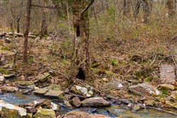 property photo for Reserves At Cattail Cove Phase I Tract 4, 5.39 acres for sale in Pittsburg County, Oklahoma