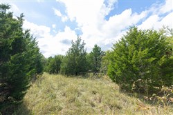 property photo for Reserves At Cattail Cove Phase II Tract 104, 8.83 acres for sale in Pittsburg County, Oklahoma