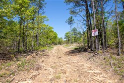 property photo for Eagles Nest Ranch Tract 24, 9.06 acres for sale in Pushmataha County, Oklahoma