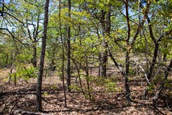 property photo for Eagles Nest Ranch Tract 24, 9.06 acres for sale in Pushmataha County, Oklahoma