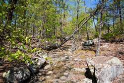 property photo for Eagles Nest Ranch Tract 24, 9.06 acres for sale in Pushmataha County, Oklahoma
