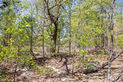 property photo for Eagles Nest Ranch Tract 24, 9.06 acres for sale in Pushmataha County, Oklahoma