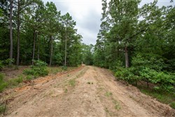 property photo for Eagles Nest Ranch Tract 84, 16.21 acres for sale in Pushmataha County, Oklahoma