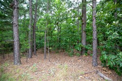 property photo for Eagles Nest Ranch Tract 84, 16.21 acres for sale in Pushmataha County, Oklahoma