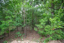 property photo for Eagles Nest Ranch Tract 84, 16.21 acres for sale in Pushmataha County, Oklahoma