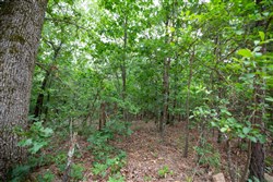 property photo for Eagles Nest Ranch Tract 84, 16.21 acres for sale in Pushmataha County, Oklahoma