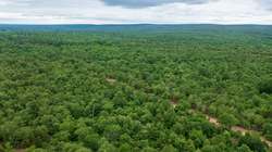 property photo for Falcon Crest Tract 11, 5.5 acres for sale in Pushmataha County, Oklahoma