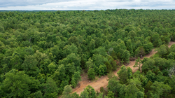 property photo for Falcon Crest Tract 11, 5.5 acres for sale in Pushmataha County, Oklahoma