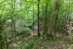 property photo for Falcon Crest Tract 20, 5.25 acres for sale in Pushmataha County, Oklahoma