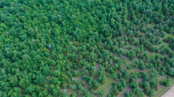 property photo for Falcon Crest Tract 20, 5.25 acres for sale in Pushmataha County, Oklahoma